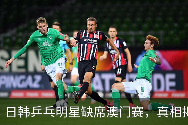 日韩乒乓明星缺席澳门赛，真相揭晓并非逃避比赛