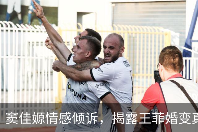 窦佳嫄情感倾诉，揭露王菲婚变真相背后复杂原因